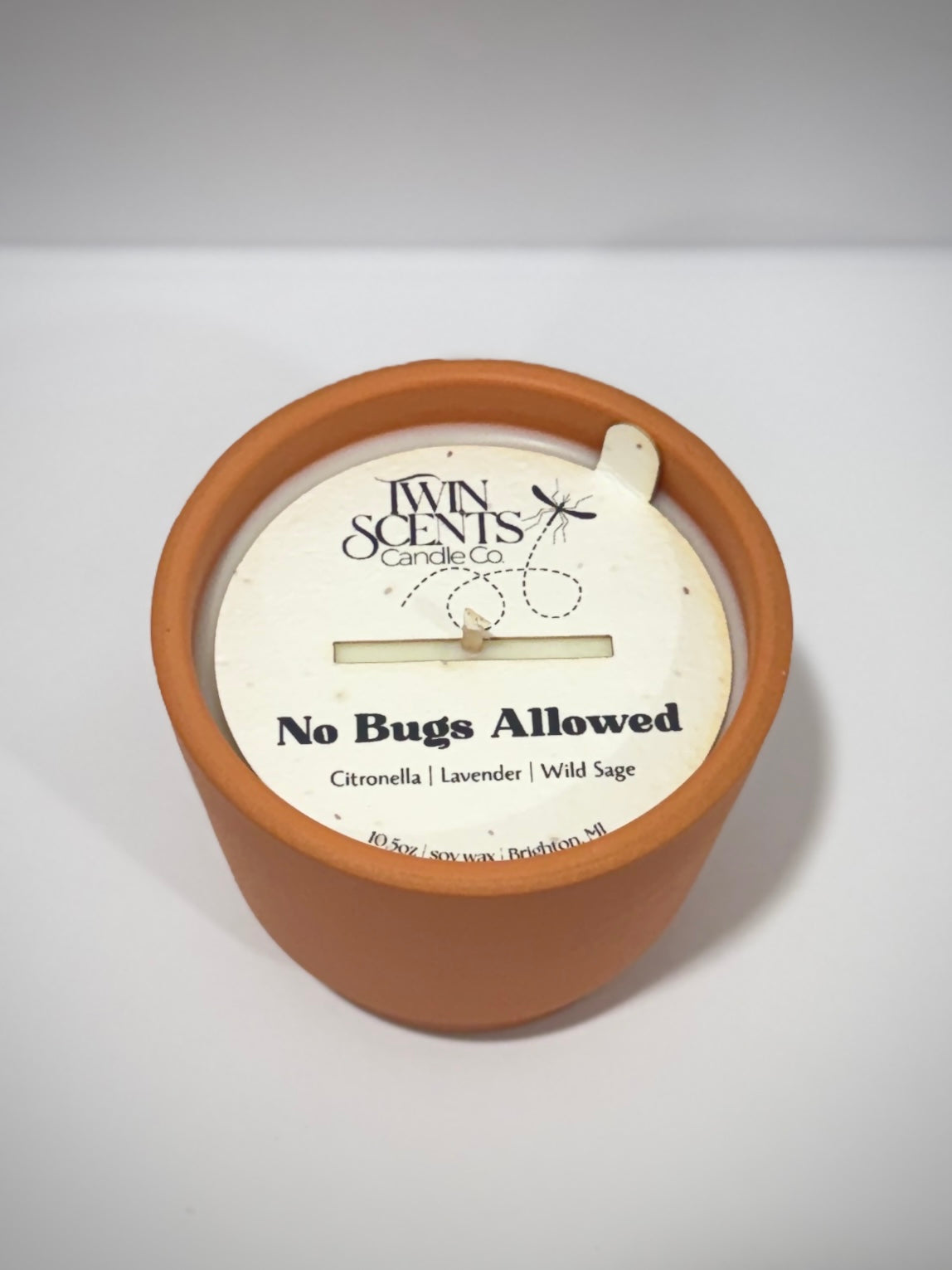 No Bugs Allowed