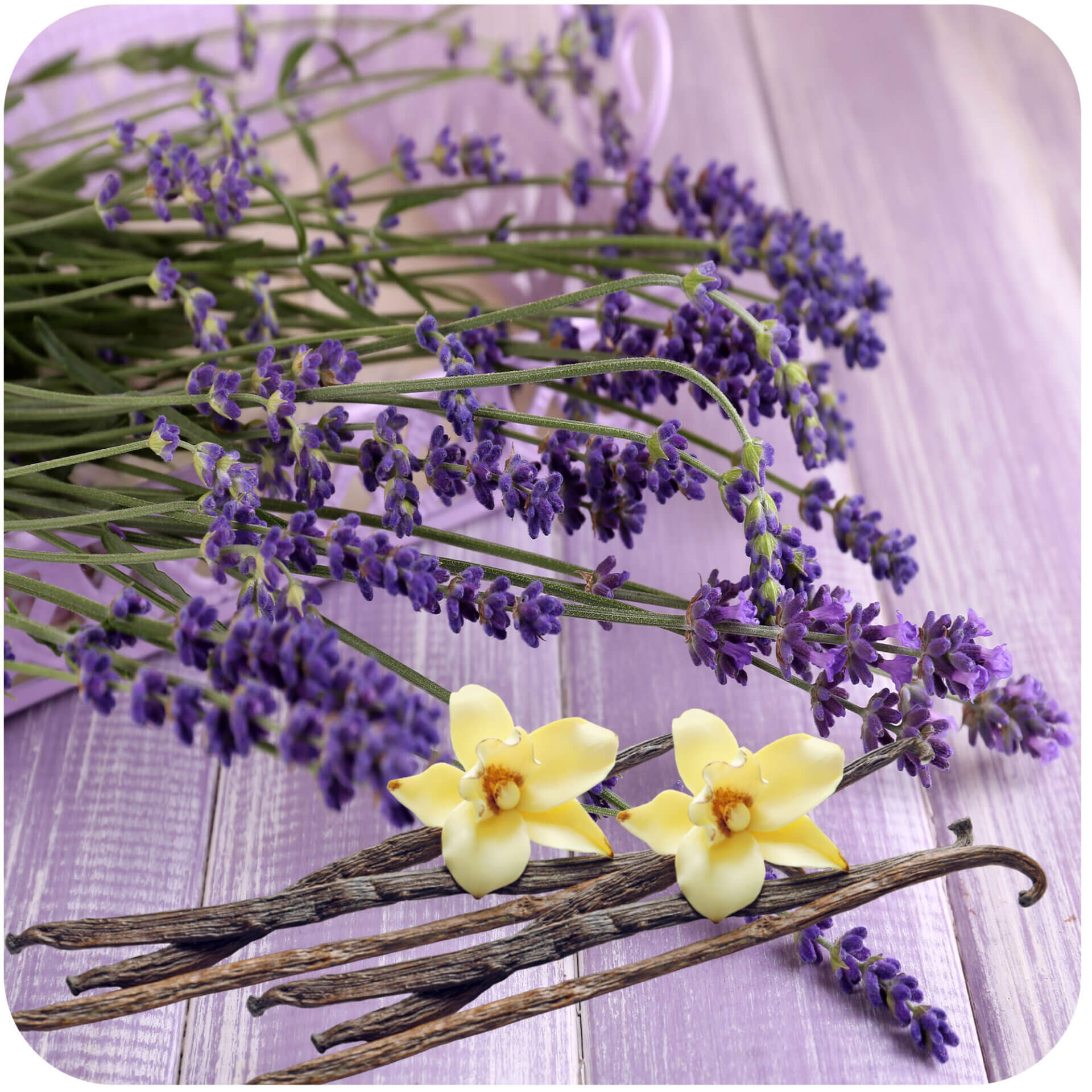 Reed Diffuser
